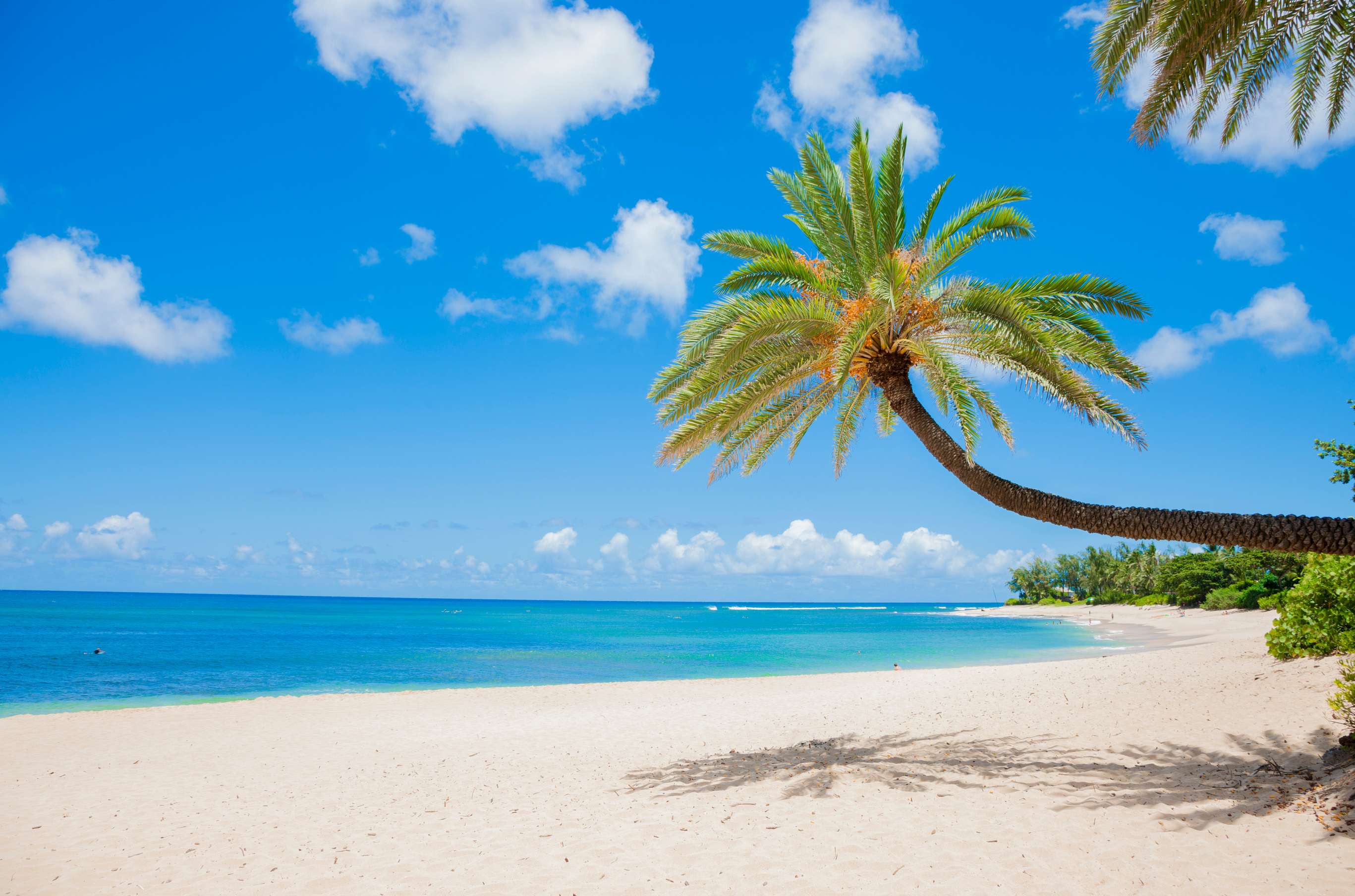 Sunset beach, Hawaii